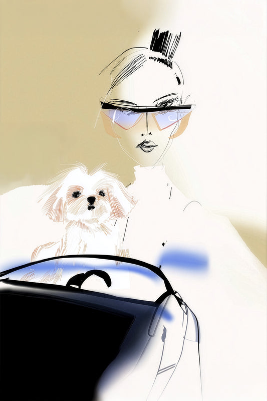 CAR RIDE & CANINE COMPANION