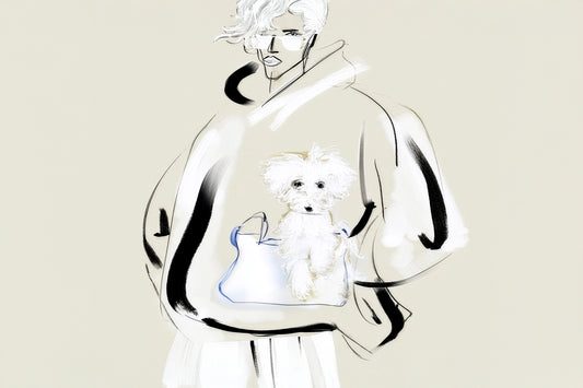 CASUAL COUTURE: THE MALTIPOO EMBRACE